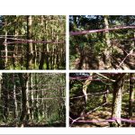 Cztery fotografie przedstawiające różowe wstęgi materiału, tworzące skomplikowaną sieć, rozpostartą w lesie.