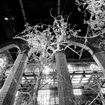 Fotografia czarno-biała, ukazująca fragment instalacji „Ogrody starości”. Wybielone drzewa jabłoni we wnętrzu kościoła.