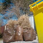 Fotografia kolorowa przedstawia żółty kontener na śmieci, brązowe worki na odpady zielone oraz drzewa i niebieskie niebo.