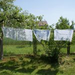 Kolorowe zdjęcie przedstawia 4 białe tkaniny wiszące na sznurku do prania w ogrodzie na wsi. Tkaniny są haftowane niebieską nicią.